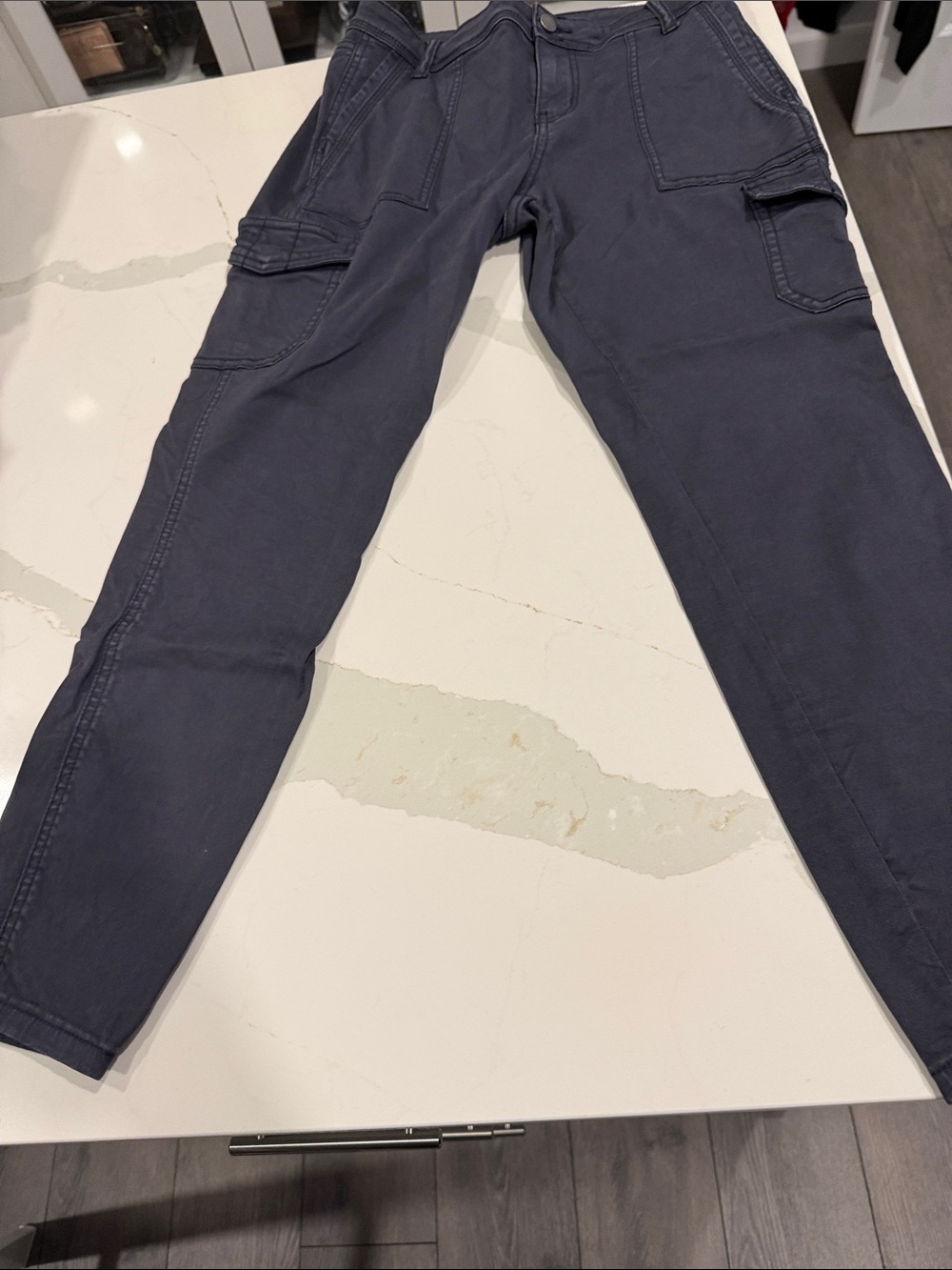 Caslon Women’s Cargo Pants in Slate Blue